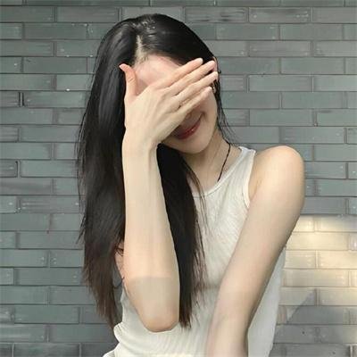 紫苑草